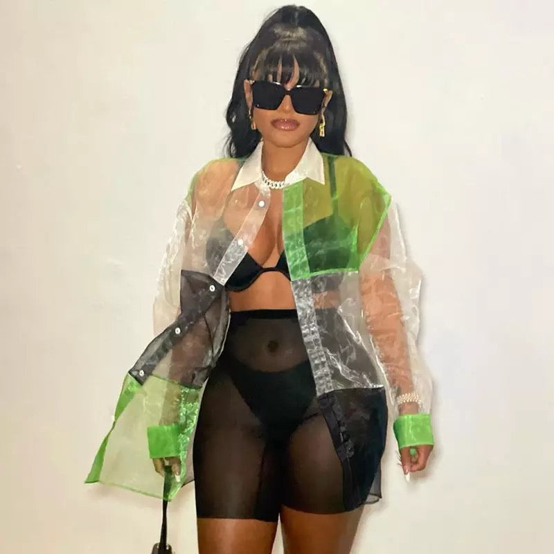 Mesh Long-Sleeved Crop Top